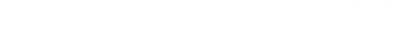 CYBURITY INC logo
