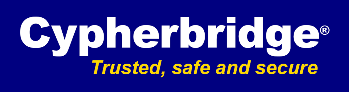 CYPHERBRIDGE SYSTEMS LLC logo