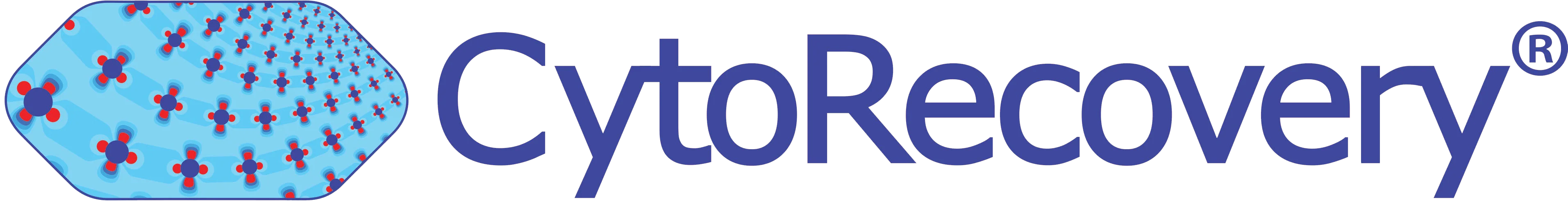 CYTORECOVERY INC logo