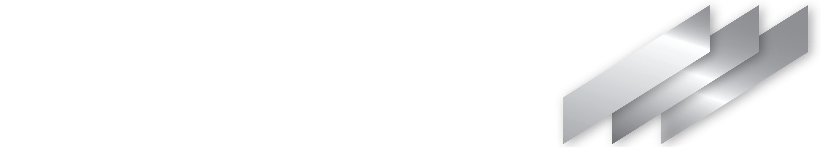 D. L. MARTIN CO. logo