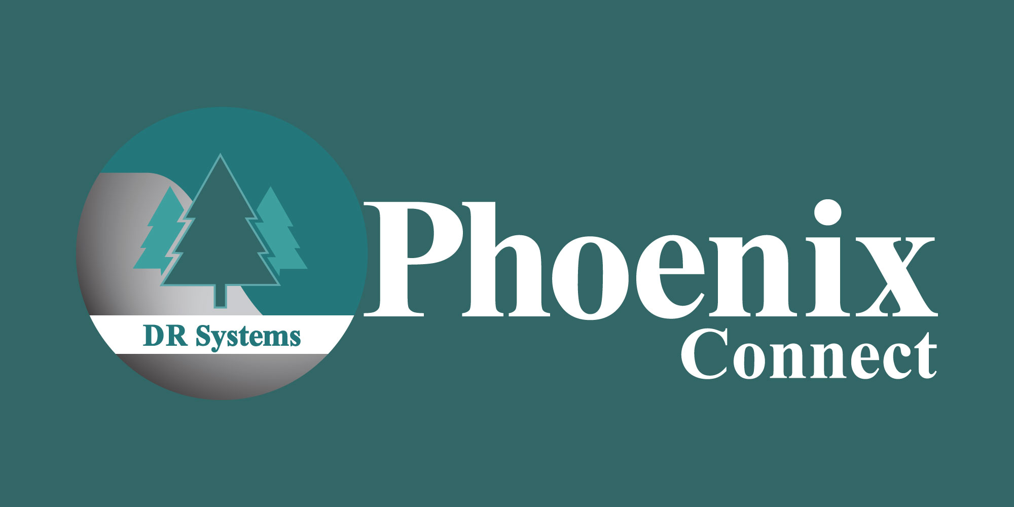 D.R. SYSTEMS NORTHWEST INC. logo