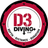 D3 DIVING LLC logo