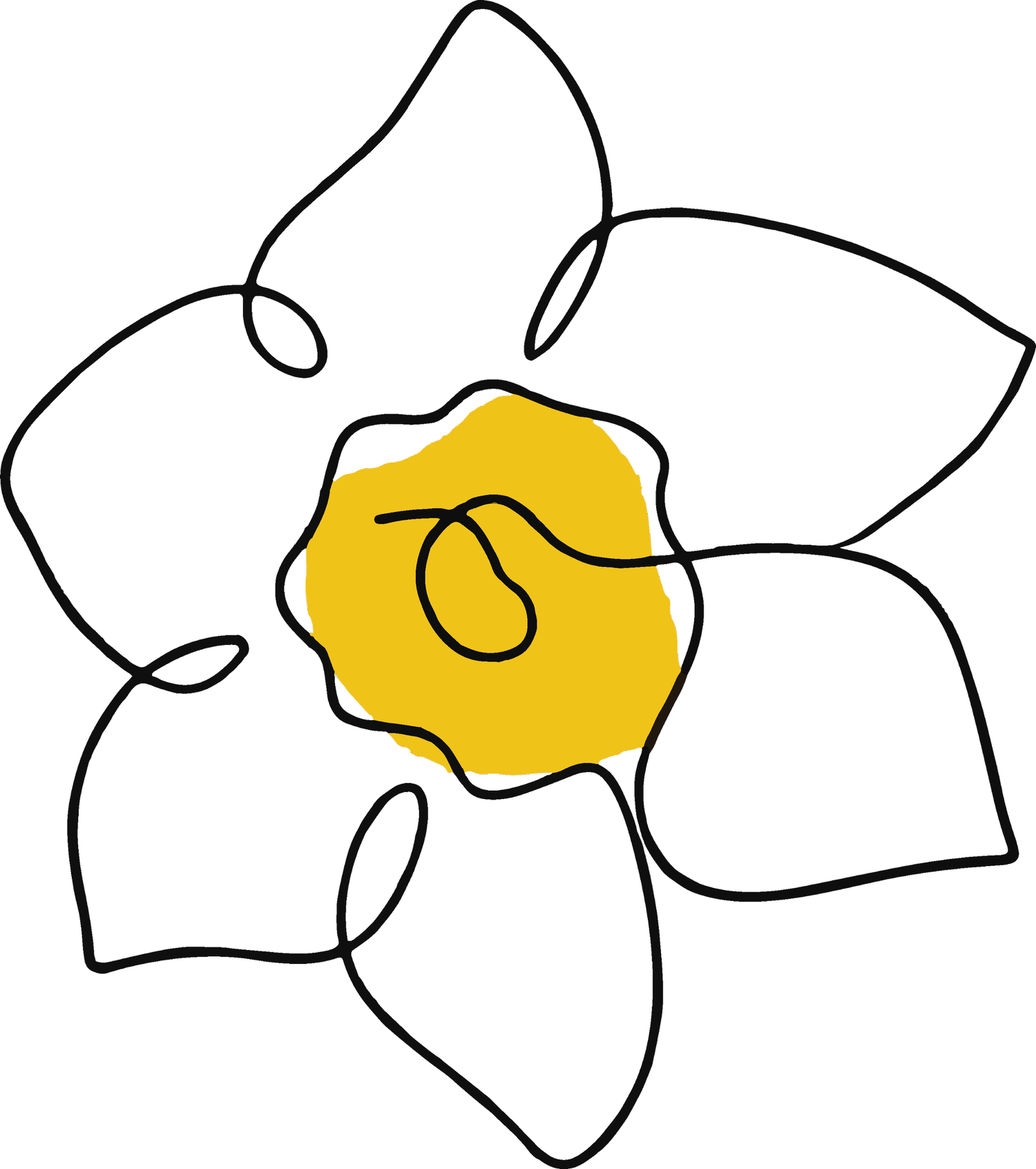 DAFFODIL logo