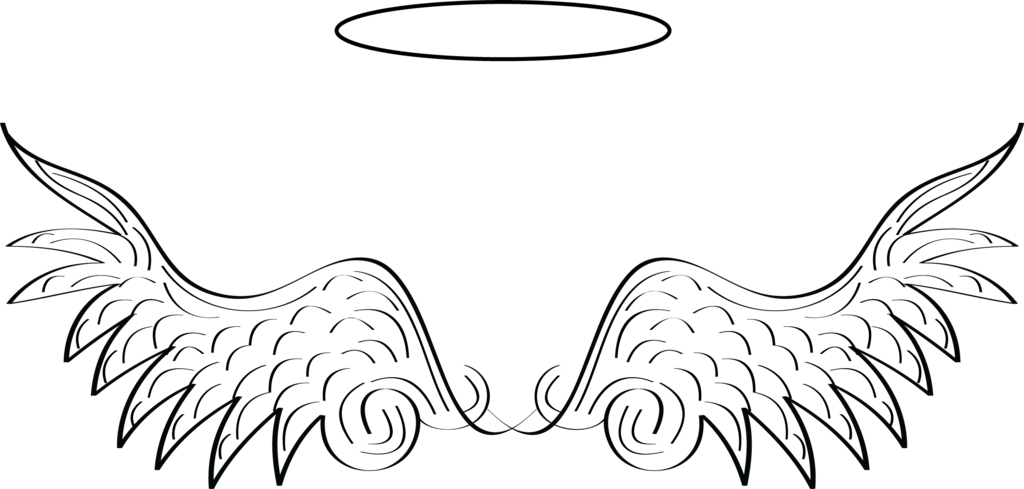 DAILY HAVEN INC logo