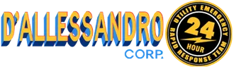 DALLESSANDRO CORP logo