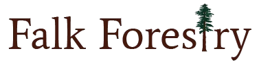 DANIEL E FALK logo