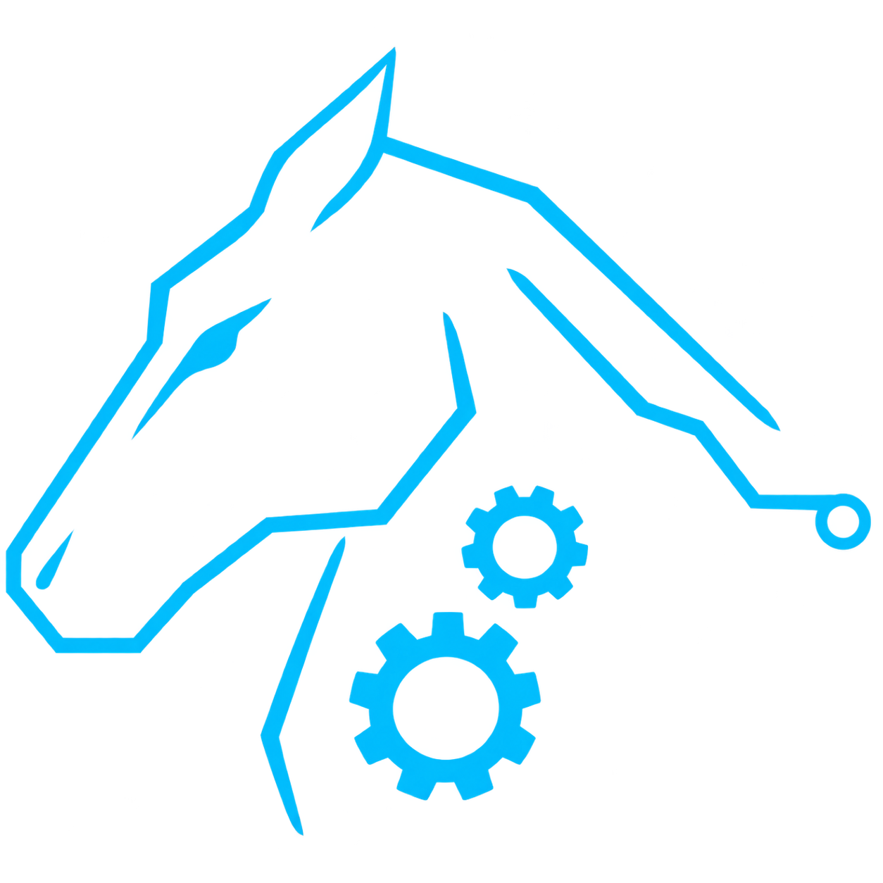DARK HORSE CUSTOM SOLUTIONS, LLC logo