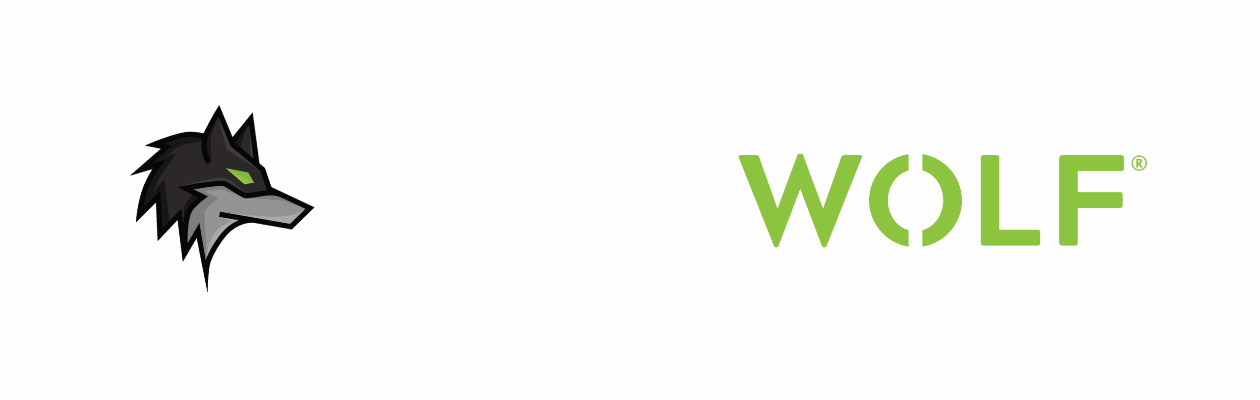 DARK WOLF SOLUTIONS, LLC logo