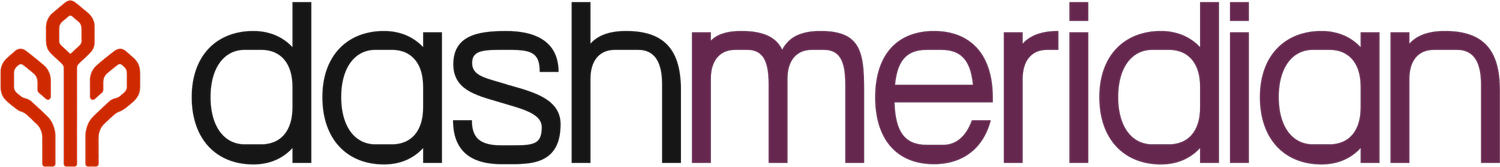 DASH MERIDIAN CONSULTING logo