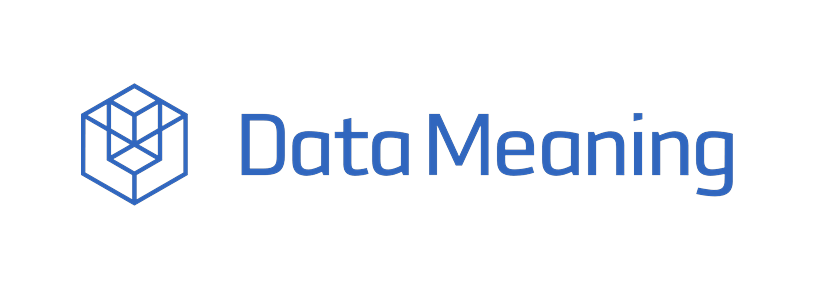 DATA MEANING SERVICES GROUP INC logo