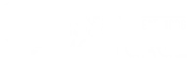 DATA MORTGAGE INC logo