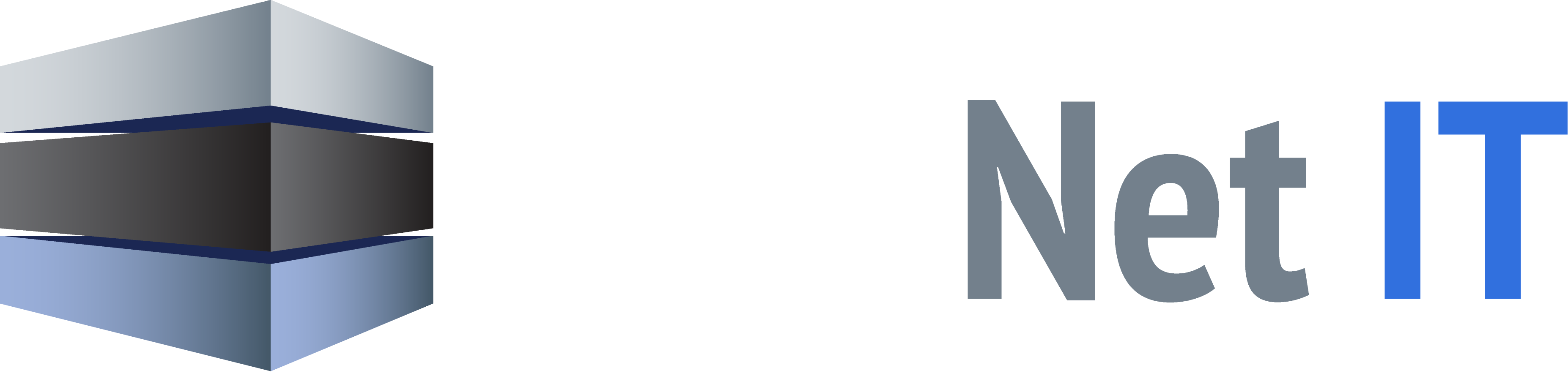 DATA NET IT logo