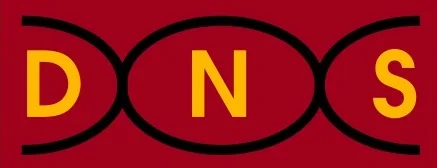 DATA NETWORK SOLUTIONS INC logo