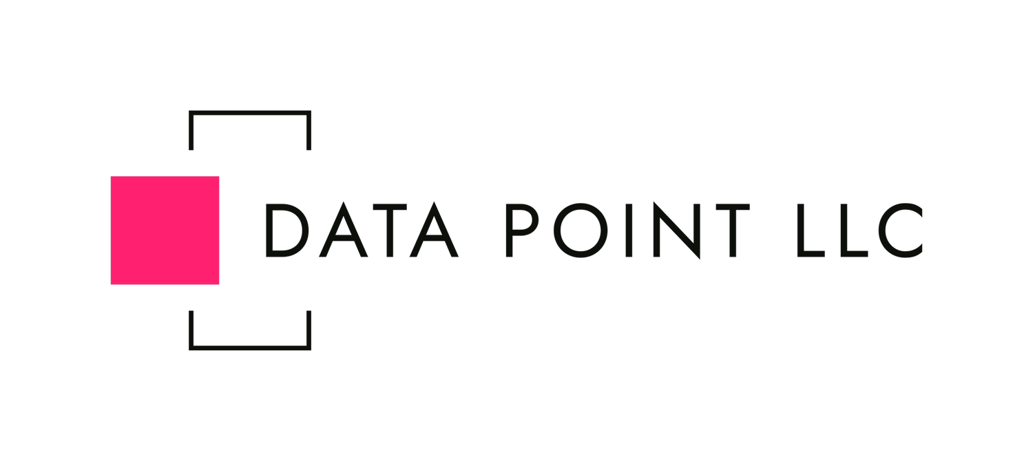 DATA POINT LLC logo