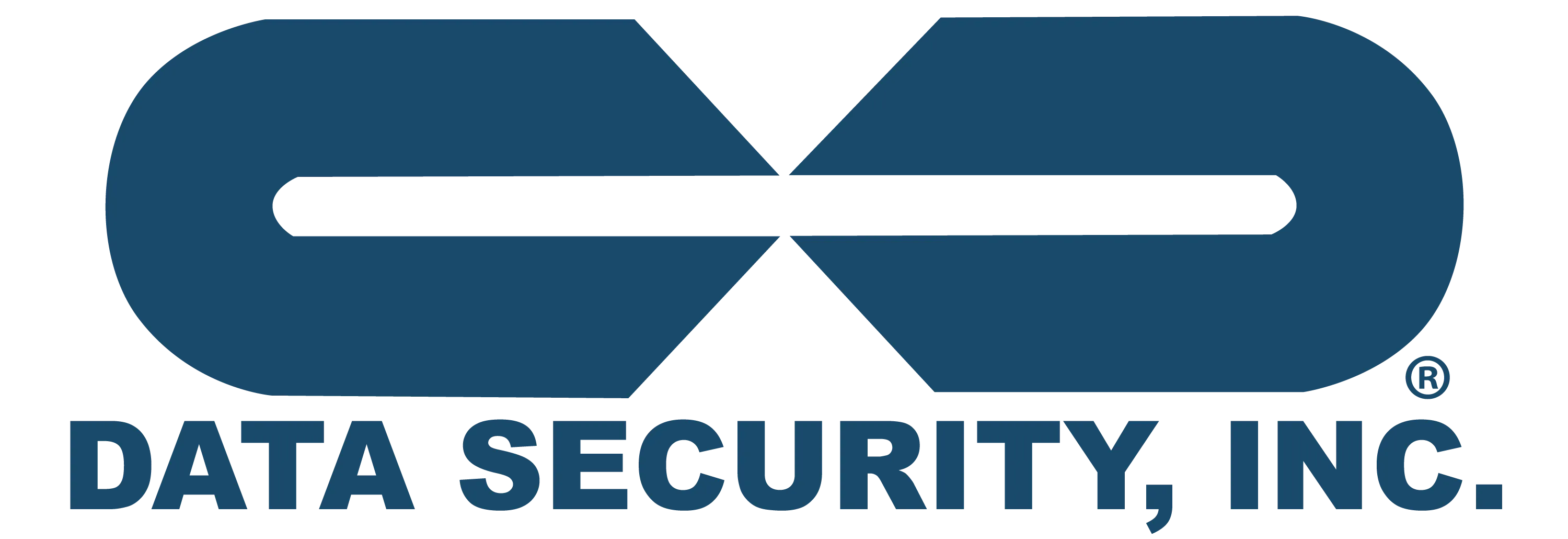 DATA SECURITY, INC logo