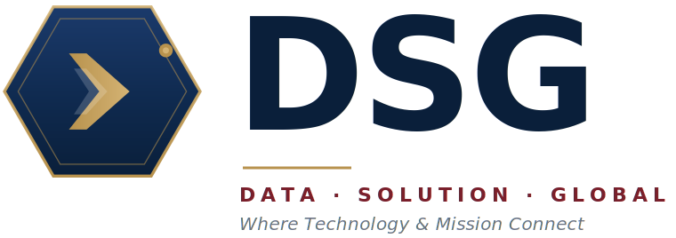 DATA SOLUTION GLOBAL LLC logo