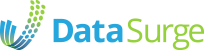 DATA SURGE LLC logo