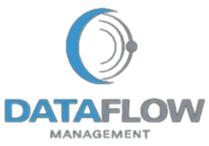 DATAFLOW MANAGEMENT LLC logo