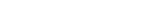 DATAHOUSE CONSULTING INC logo