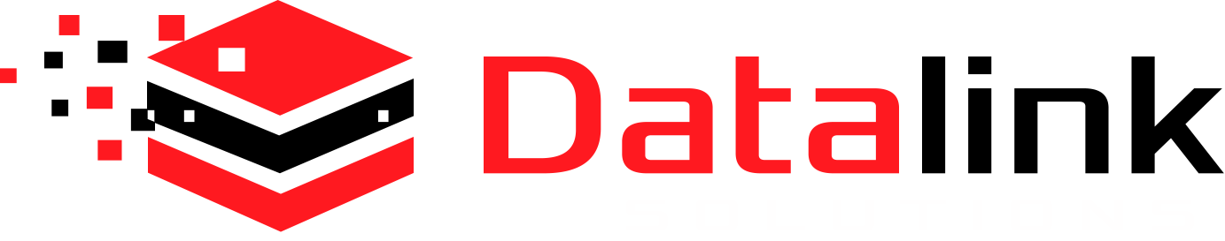 DATALINK SOLUTION LLC logo