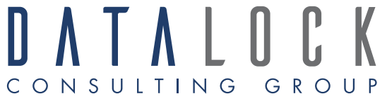 DATALOCK CONSULTING GROUP logo