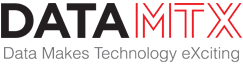 DATAMTX LLC logo
