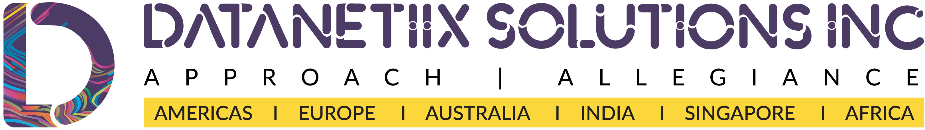DATANETIIX SOLUTIONS INC logo