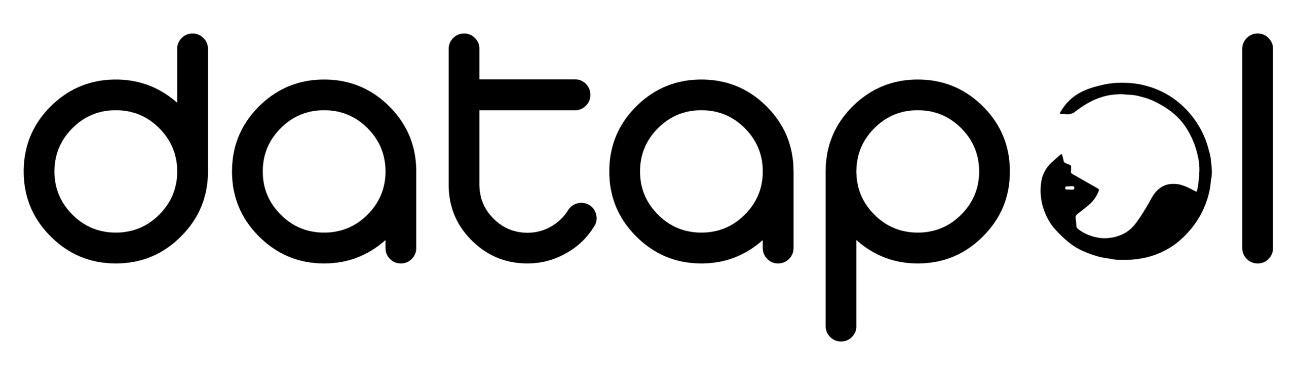 DATAPOL LLC logo