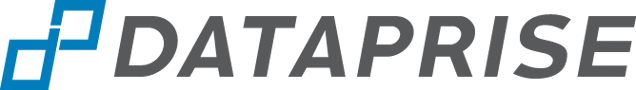 DATAPRISE, LLC logo
