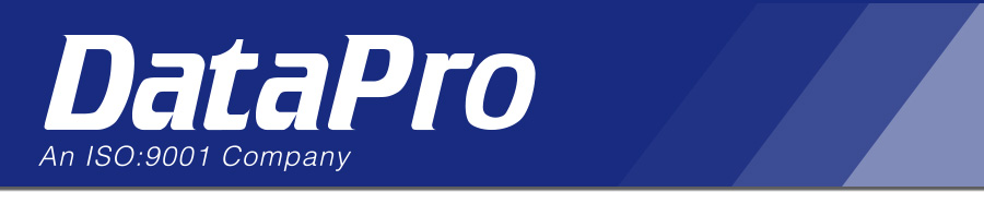 DATAPRO INTERNATIONAL INC. logo