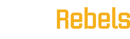 DATAREBELS LLC logo