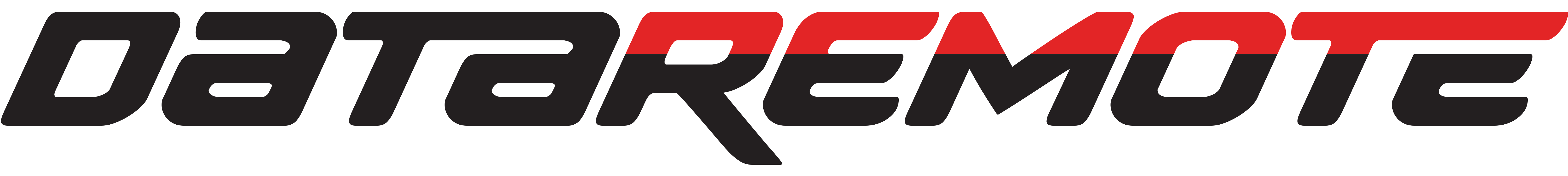 DATAREMOTE, INC. logo