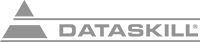 DATASKILL, INC logo