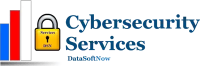 DATASOFTNOW, INC. logo