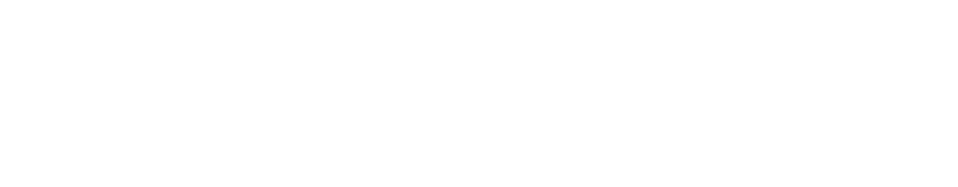 DATASPEED INC. logo
