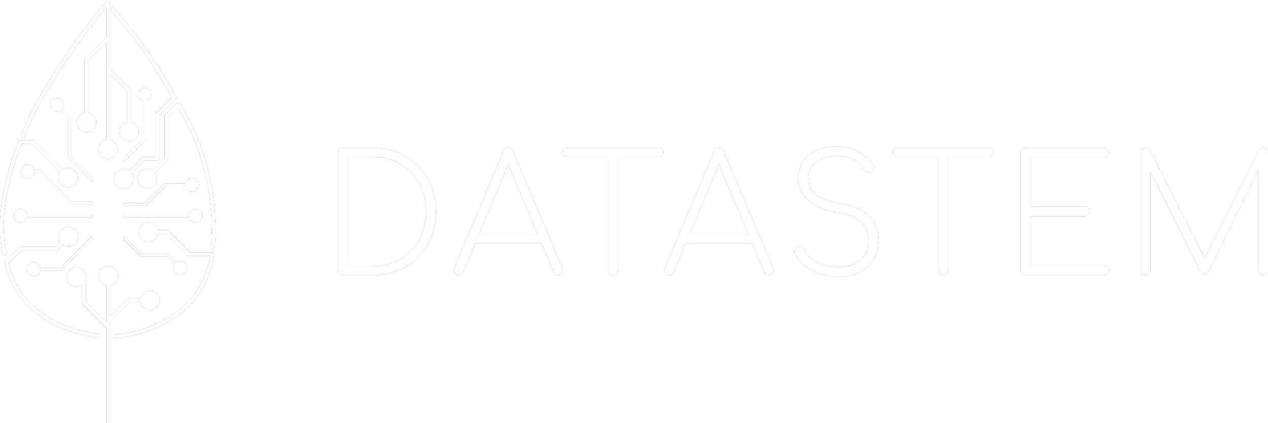 DATASTEM TECHNOLOGIES INCORPORATED logo