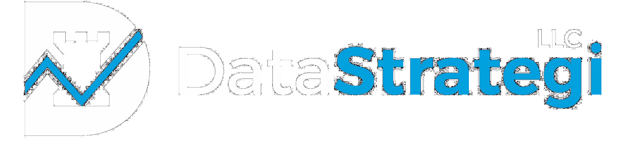 DATASTRATEGI, LLC logo