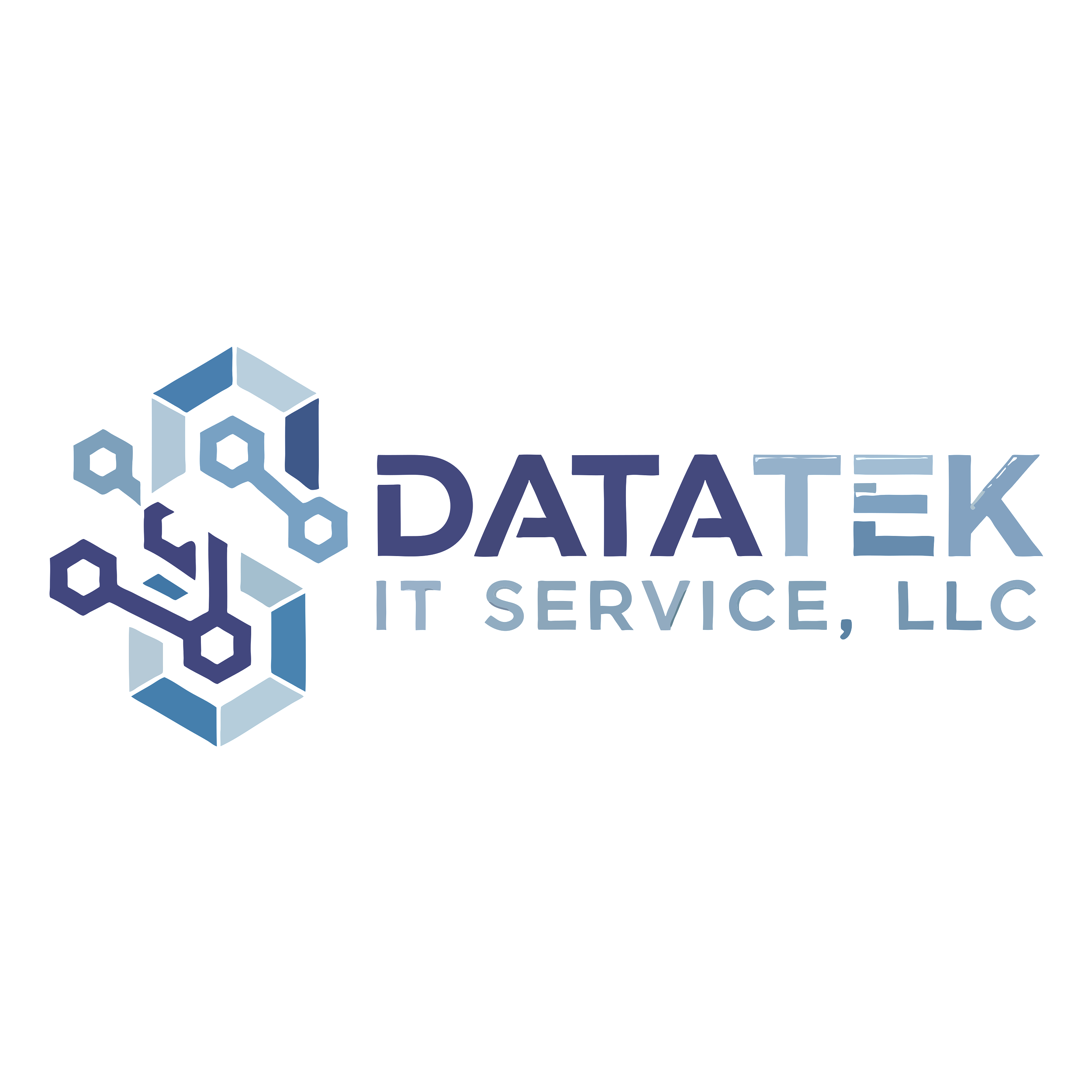 DATATEK IT SERVICES LLC logo