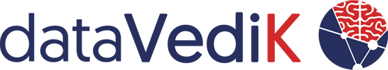 DATAVEDIK LLC logo