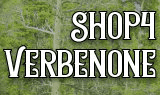 DATAWEB, INCORPORATED logo
