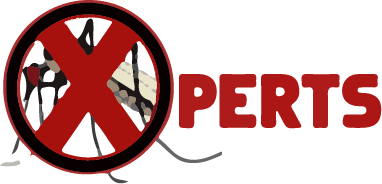 DAVID DELGADO logo