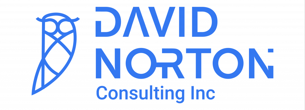 DAVID NORTON CONSULTING INC logo
