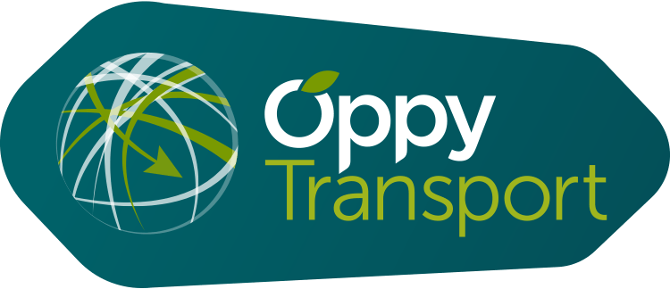 DAVID OPPENHEIMER TRANSPORT, INC. logo