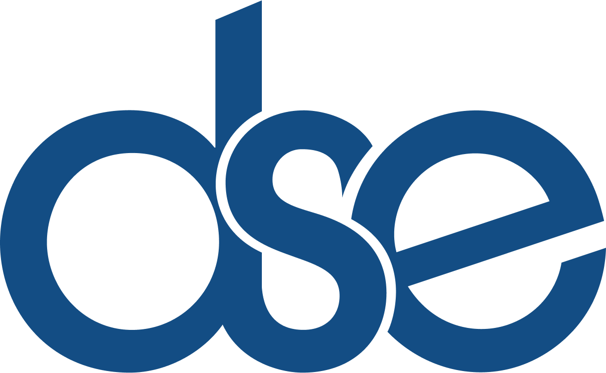 DAVID SHAPIRO ENTERPRISES INC logo