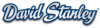 DAVID STANLEY CHEVROLET INC logo