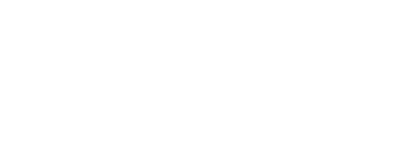 DAVIDSON AVIONICS, LLC logo