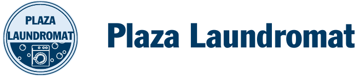 DAY PLAZA LAUNDROMAT LLC logo