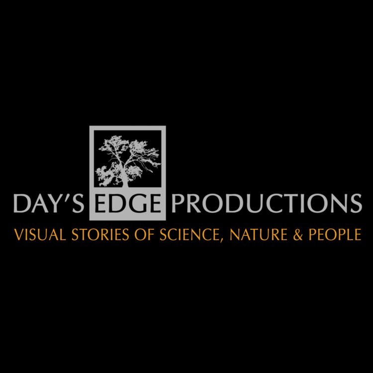 DAYS EDGE PRODUCTIONS LLC logo