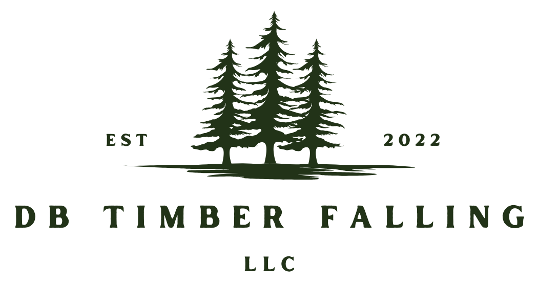 DB TIMBER FALLING LLC logo