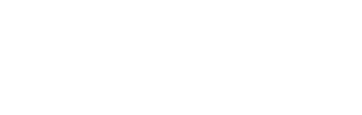 DC GROUP INC logo